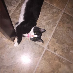 Meet your Posher, Aly